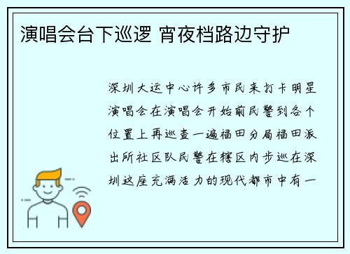 演唱会台下巡逻 宵夜档路边守护